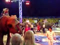 Cirkus Arena 2008