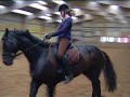 Dressage training