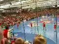 HSG Nordhorn, Europapokal Finale - Schlusspfiff