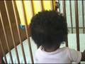 videos de E-Cruising for  My Toys