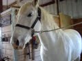 Riding 11/14/09 (On Sarah =D)