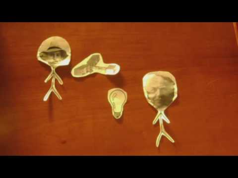 Conto - Trabalho de português sobre o livro de José Saramago: O conto da Ilha desconhecida.