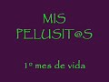 1º mes de mis pelusits