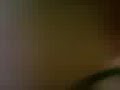 wawlid,,