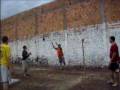 Brincando com o Dingos