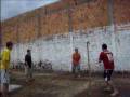 Brincando com o Dingos