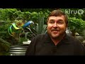 Link Davidson: Central Texas Gardener