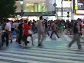 Shibuya Night  ???