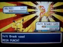 videos de Pokémon LeafGreen - Legendary Birds