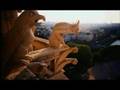 Notre Dame Cathedral Pipe Organ Messiaen Dieu Parmi Nous