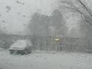 driving in snow / manejando en la nieve
