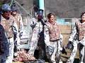 videos de gotcha esca