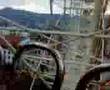 videos de dans la roue