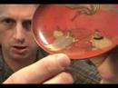 Old Japanese Sake Cup Bushy Tail Turtle Maki-e Sakazuki