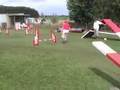 Aarschot 2008 Fiasko Agility