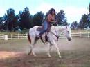 Miki and Skyblue riding bridleless - Hawaii Miki and Skyblue riding bridleless - Hawaii