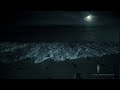 Navy SEALS 