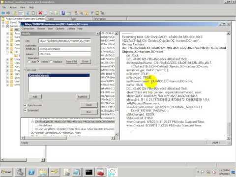 how to recover deleted folder in business objects