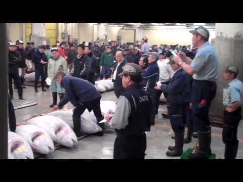 0 No More Tuna for Tourists! picture