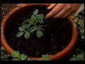 How to make a Pizza Pot How to make a Pizza Pot