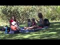 Kirstenbosch Garden - Cape Town South Africa
