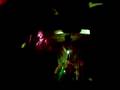 videos de Goos - Bloody Mary