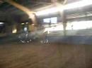 Boogy en Ismar