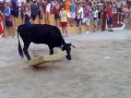 Becerra Liétor 2010 Parte I