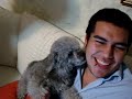 Beso de Perra