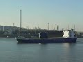 wilson star
