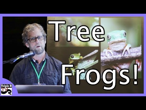 YouTube reptile video