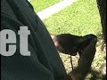 Exact Coordinates for Free Hummingbird Food