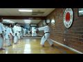 Kihon - Mae Giri-Oi Zuki (Yamazaki Sensei - 2009)