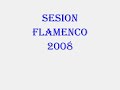 Sesion de flamenco 2008 Sesion de flamenco 2008