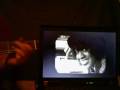 SLOW & funny Guitar Chords to THE HIGHLANDERZ VIDEO!