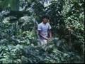 Musim Durian