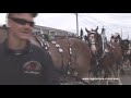 la rpv a couvert le festival de st-tite au qu�bec. durant la parade la ferme denis c�t� de la visitation nous a pr�sent� un attelage de 14 chevaux.
les voici sur la musique de quimorucu
www.rogiciel-pro-vision.com