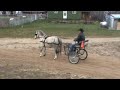 20091122142340