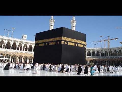 اسرع عملية نظافة لأصعب مكان يمكن تنظيفه في العالم