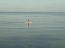 Old Lady Paddleboard
