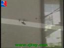 Infrared Control Mini Flight Cicada