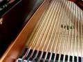 Bösendorfer Model 290 Black keys
