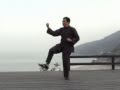 刘勇老架一路演示Master Liu Yong Chen Style Tai Chi Lao Jia Yi Lu