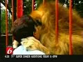 Amazing Hug Amazing Hug
