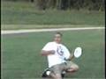Frisbee Dog
