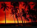 Cecilio & Kapono - About You