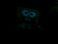 spongi