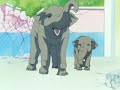 sakura card captor español episodio 13 parte 2 / 3 sakura card captor español episodio 13 parte 2 / 3