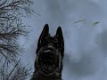 Best of Call of Duty 4 - All Ghillied Up part 2
