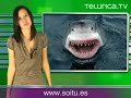 curiosidades cientificas | telurica 413